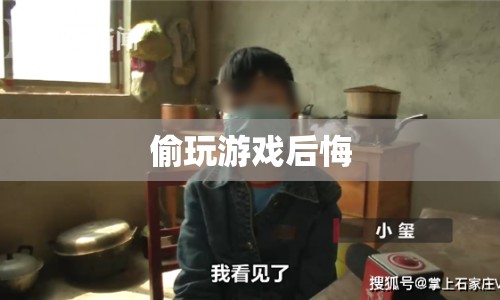 偷玩游戲的后果與后悔  第1張