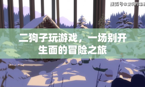 二狗子的冒險之旅，一場別開生面的游戲盛宴