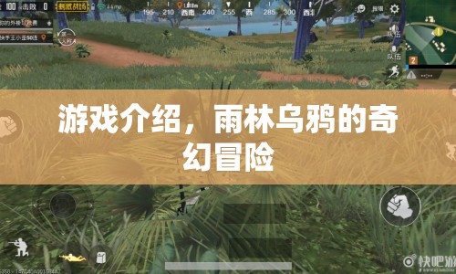 雨林烏鴉的奇幻冒險，探索神秘叢林，開啟冒險之旅