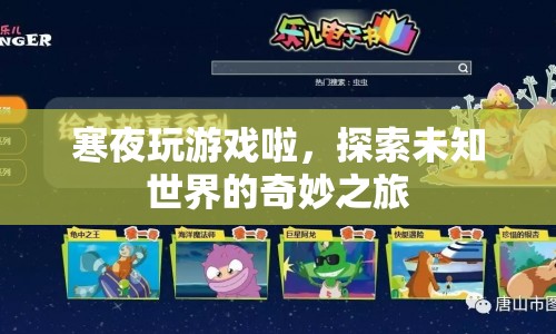 寒夜探索未知世界，奇妙之旅開啟
