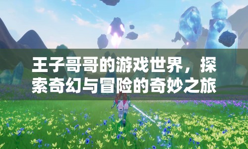 王子哥哥的游戲世界，奇幻冒險之旅