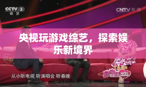 央視游戲綜藝，探索娛樂(lè)新境界