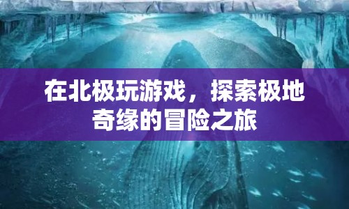 探索極地奇緣，北極冒險之旅