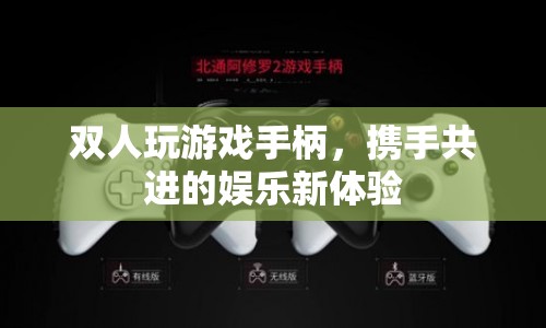 雙人攜手共進(jìn)的娛樂新體驗(yàn)，游戲手柄開啟全新游戲體驗(yàn)
