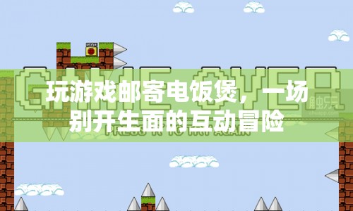 游戲玩家寄出電飯煲，開啟互動(dòng)冒險(xiǎn)新篇章  第1張