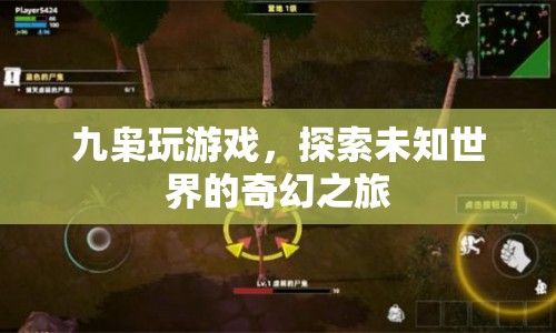 九梟的奇幻游戲之旅，探索未知世界的冒險(xiǎn)