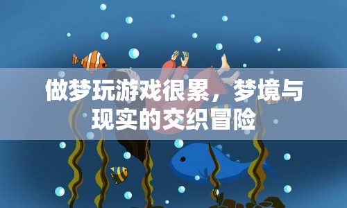 夢境與現(xiàn)實(shí)的冒險，做夢玩游戲的疲憊之旅