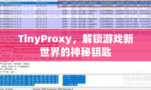 TinyProxy，解鎖游戲新世界的關(guān)鍵工具
