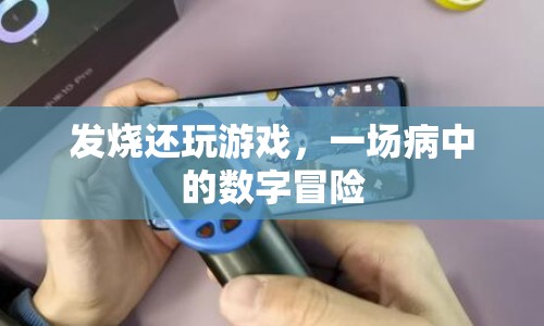 發(fā)燒中的數(shù)字冒險(xiǎn)，病中仍堅(jiān)持玩游戲  第1張