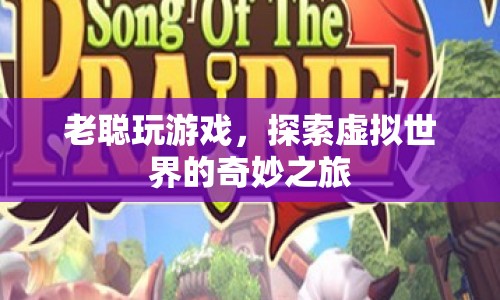 老聰?shù)奶摂M世界探險(xiǎn)之旅