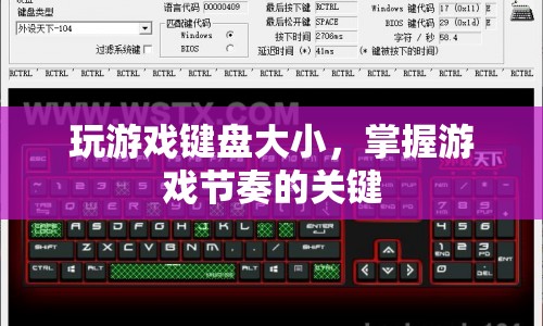 游戲鍵盤大小，掌握游戲節(jié)奏的關(guān)鍵