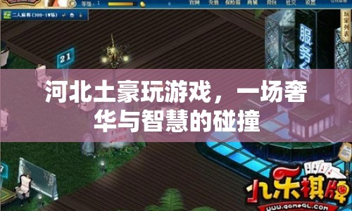 河北土豪游戲盛宴，奢華與智慧的碰撞