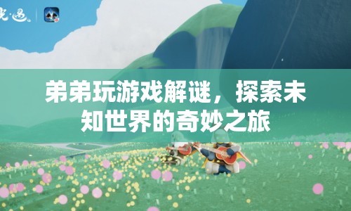 弟弟的解謎游戲，探索未知世界的奇妙之旅  第1張