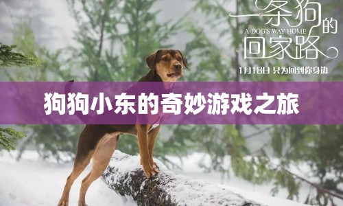 狗狗小東的奇妙冒險之旅