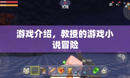 教授的游戲小說(shuō)冒險(xiǎn)，探索未知世界的奇幻之旅