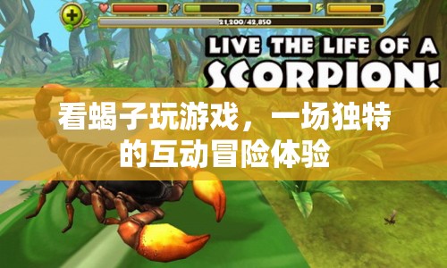 一場獨特的互動冒險體驗，看蝎子玩游戲