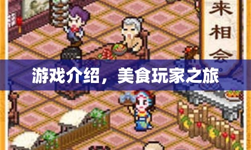 美食玩家之旅，探索味蕾的奇妙之旅