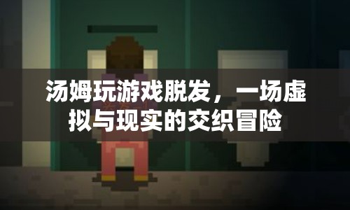 湯姆的虛擬冒險(xiǎn)，游戲與現(xiàn)實(shí)的交織，引發(fā)脫發(fā)危機(jī)