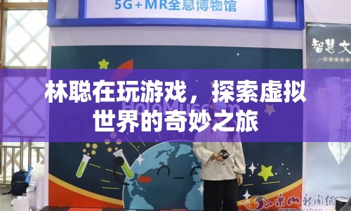林聰?shù)奶摂M世界探險(xiǎn)之旅