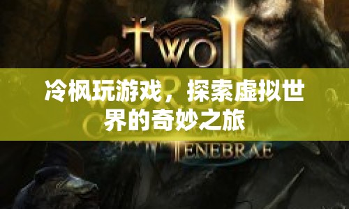 冷楓的虛擬世界探險(xiǎn)之旅  第1張