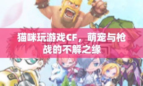 萌寵也玩CF，貓咪與槍?xiě)?zhàn)的不解之緣