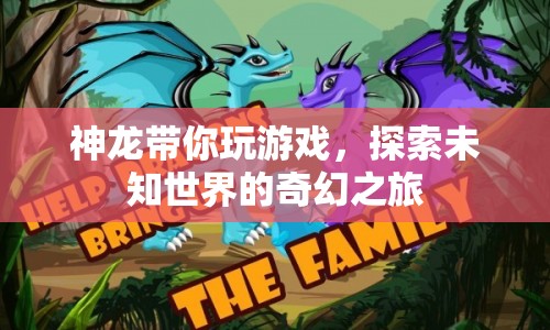 神龍帶你探索奇幻世界，一場未知之旅的冒險