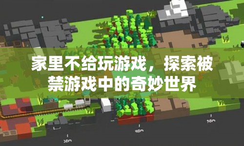探索被禁游戲中的奇妙世界，游戲禁令下的創(chuàng)意與冒險