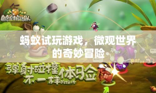 螞蟻試玩游戲，微觀世界的奇妙冒險(xiǎn)