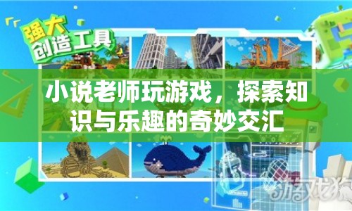 老師游戲，探索知識(shí)與樂趣的交匯點(diǎn)