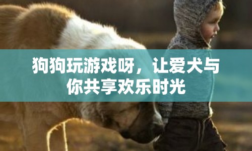 狗狗玩游戲，與寵物共享歡樂時光