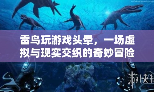 雷鳥(niǎo)，虛擬與現(xiàn)實(shí)交織的奇妙冒險(xiǎn)，玩游戲竟引發(fā)頭暈！