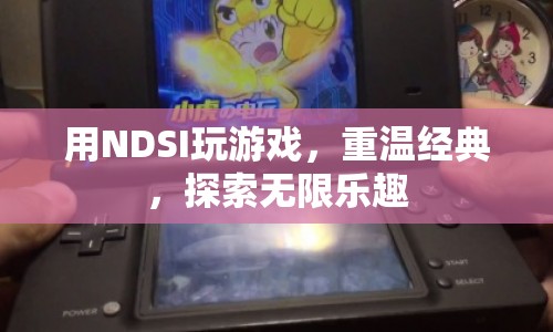 NDSI重溫經(jīng)典，探索無限樂趣