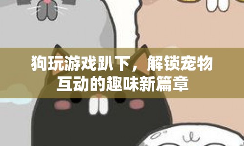 狗玩游戲趴下，解鎖寵物互動(dòng)新樂(lè)趣