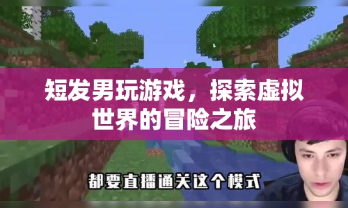 短發(fā)男探索虛擬世界的冒險之旅  第1張