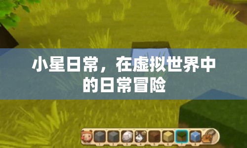 小星在虛擬世界的日常冒險(xiǎn)之旅