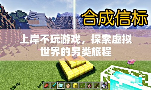 上岸后的另類探索，不玩游戲，探索虛擬世界的旅程