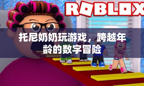 托尼奶奶的數(shù)字冒險(xiǎn)，跨越年齡的趣味游戲之旅