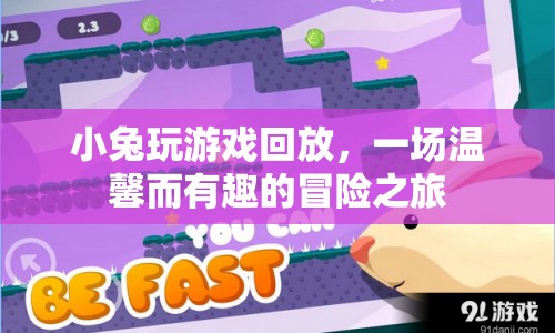 小兔溫馨冒險之旅，游戲回放中的趣味與溫情