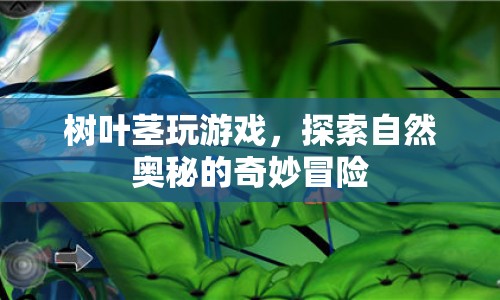 探索自然奧秘，樹葉莖的奇妙冒險
