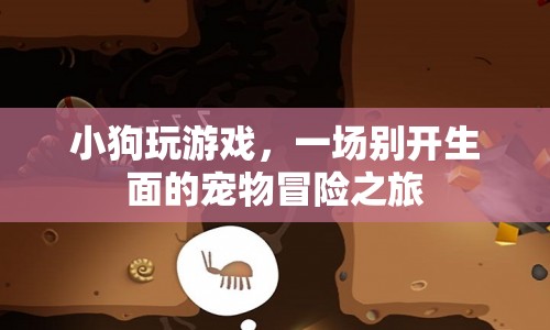 小狗的寵物冒險之旅，一場別開生面的游戲盛宴