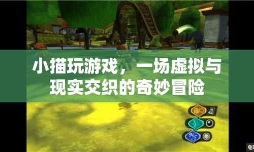 小描的虛擬冒險(xiǎn)，游戲與現(xiàn)實(shí)的奇妙交織
