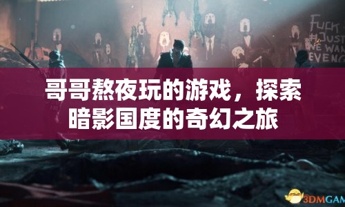 哥哥熬夜探索的奇幻游戲，暗影國度的神秘之旅