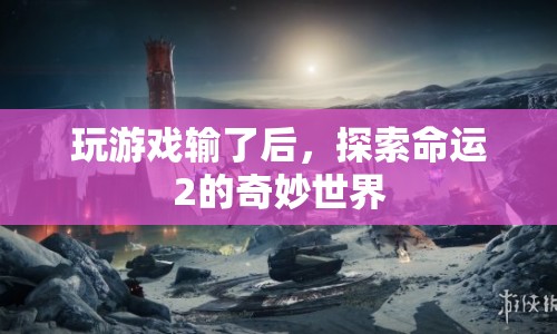 探索命運(yùn)2的奇妙世界，游戲輸后的意外之旅