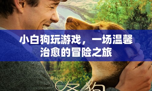 小白狗溫馨治愈的冒險(xiǎn)之旅