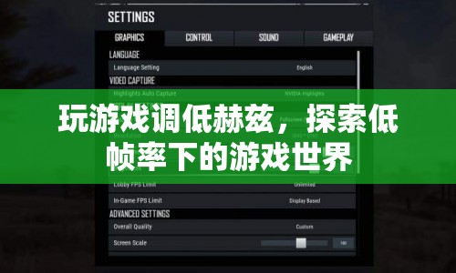 低幀率下的游戲世界，探索與體驗  第1張