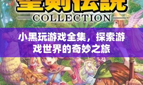 探索游戲世界的奇妙之旅，小黑玩游戲全集