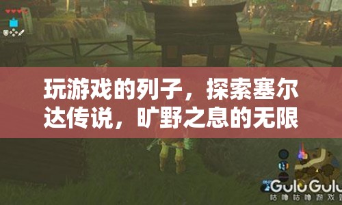 探索塞爾達(dá)傳說(shuō)，曠野之息的無(wú)限可能，游戲之旅的啟示