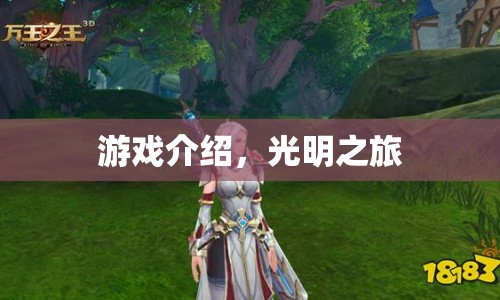 光明之旅，一場(chǎng)探索與冒險(xiǎn)的旅程  第1張