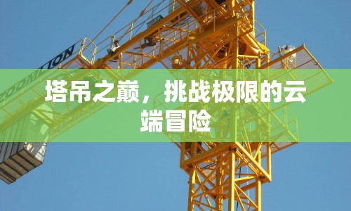 塔吊之巔，挑戰(zhàn)極限的云端冒險  第1張