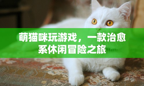 萌貓咪玩游戲，治愈系休閑冒險之旅等你來探索